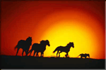 Horse Sunset